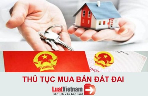 dat dai 1.jpg