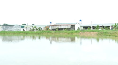 trang trai 4.png