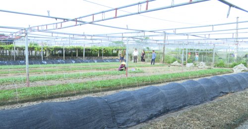 Phát triển nông nghiệp bền vững với mô hình vườn ao chuồng