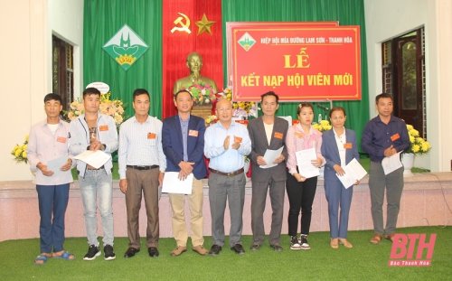 159d3132509t30738l0.jpg
